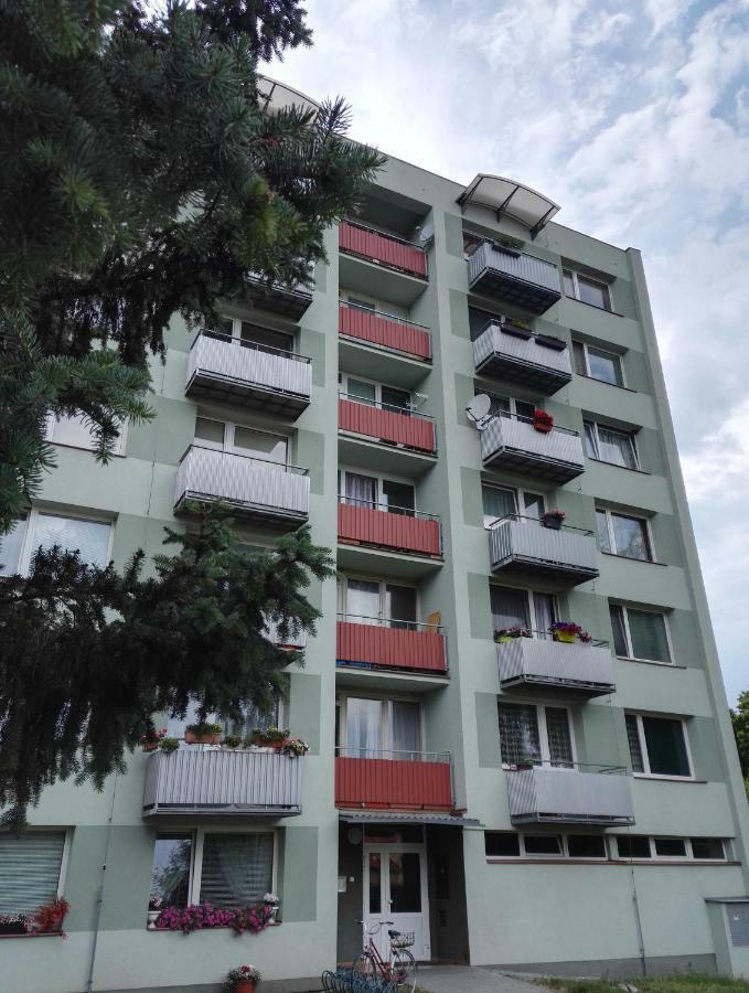 Apartman-Trebon-Centrum Exterior foto